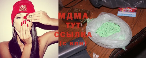 гашик Алексеевка