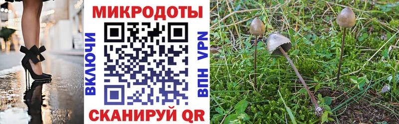 Галлюциногенные грибы мухоморы Апатиты